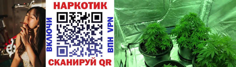 Виды наркоты Когалым Кокаин  A-PVP  Канабис  ГАШ 