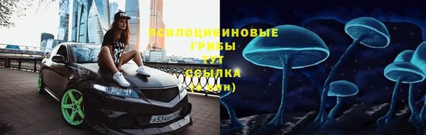 a pvp Бородино