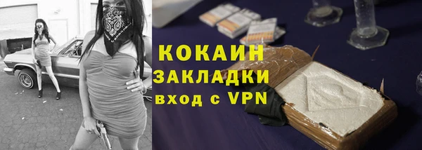 a pvp Бородино