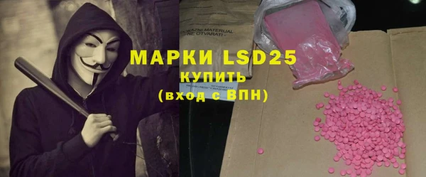 a pvp Бородино
