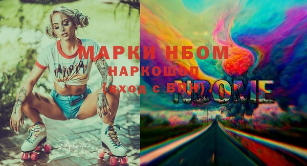 a pvp Бородино
