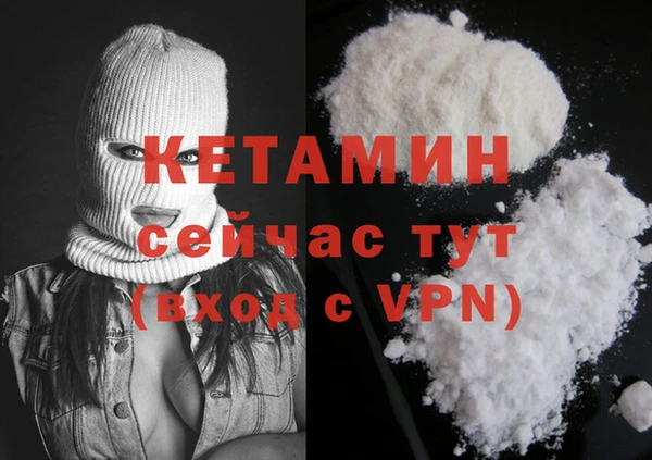 a pvp Бородино